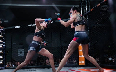 Mixed Martial Arts fight gear armour